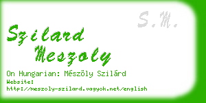szilard meszoly business card